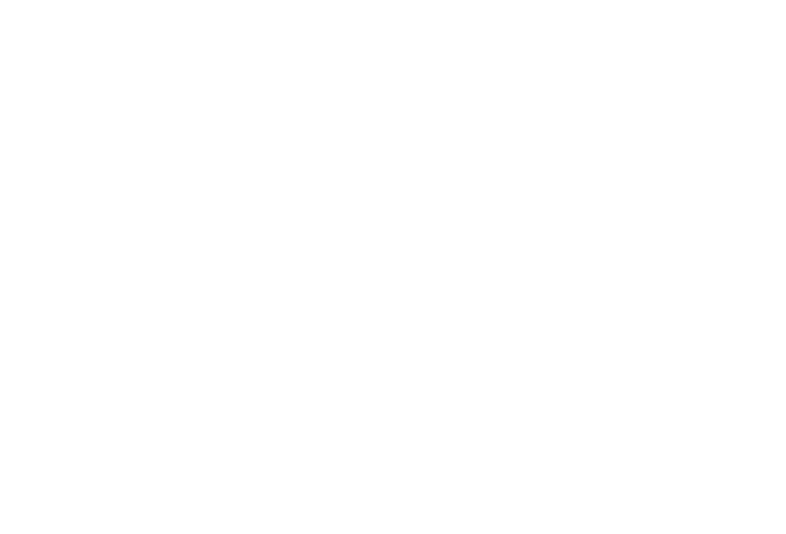 Julian Ribinik Studios